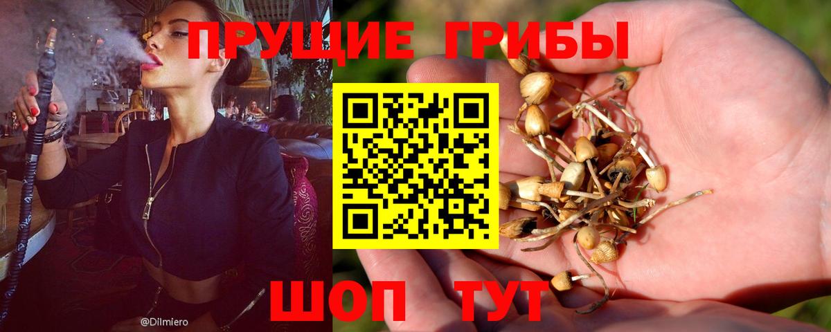 где купить наркоту  Вход с VPN  Псилоцибиновые грибы ЛСД  Можга  Галлюциногенные грибы мухоморы 