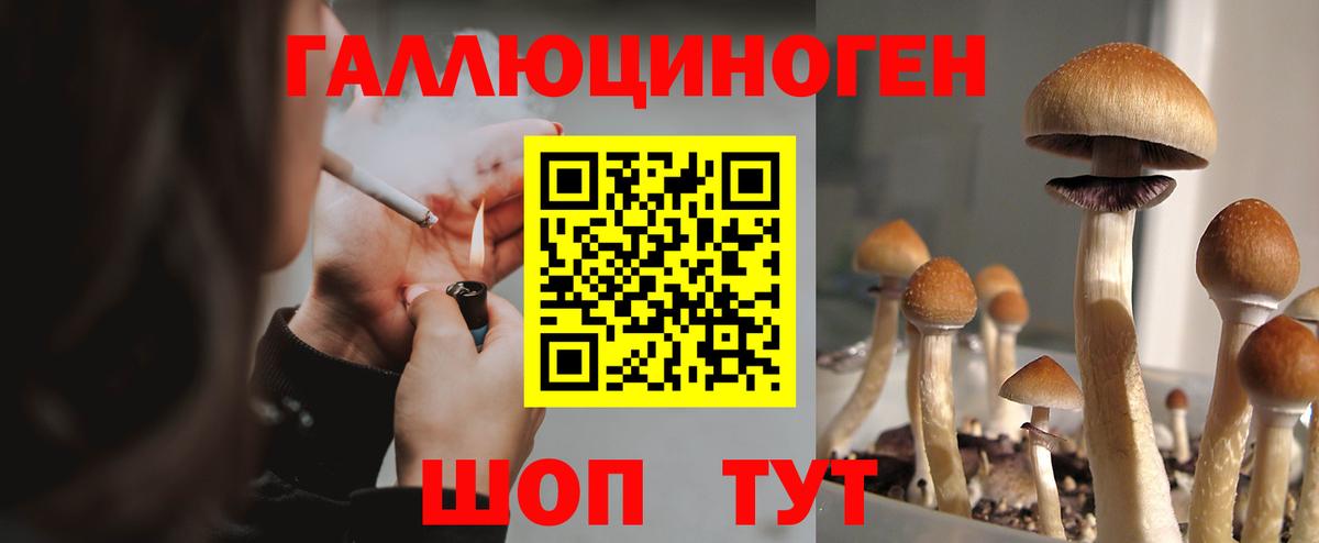 Галлюциногенные грибы ЛСД Можга